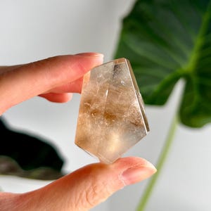 Grade AAA Natural Rutile Amphibole Quartz, Angel Phantom Quartz - from Taquaraçu de Minas, Brazil AFC43, 37g