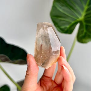 Grade AAA Natural Rutile Amphibole Quartz, Angel Phantom Quartz - from Taquaraçu de Minas, Brazil AFC48, 86g