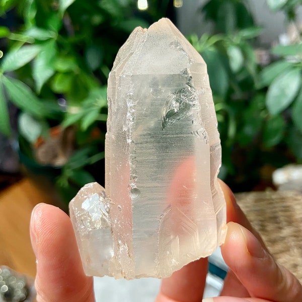 Tangerine QUARTZ POINTS, LEMURIAN Quartz, Soul Gem,Sacral Chakra, Divine Spirit Loving Energy Healing Crystal Point Lemurian Seed Quartz