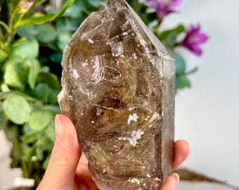 May include: A large, raw smoky quartz crystal with a pointed tip. The crystal is a translucent brown color with internal inclusions and a rough, textured surface. The background includes purple flowers and green foliage.