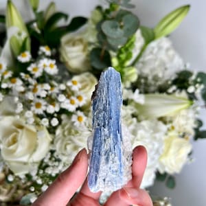Grade AA Natural Blue Kyanite with Quartz,  Crystal Healing, Energy Protection, Calming BK09,81g