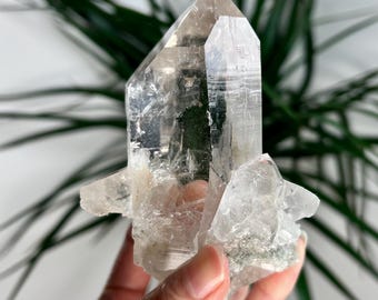 May include: A clear quartz crystal cluster with a large, pointed crystal in the center. The crystal is surrounded by smaller crystals, and the base of the cluster is covered in a layer of green moss.