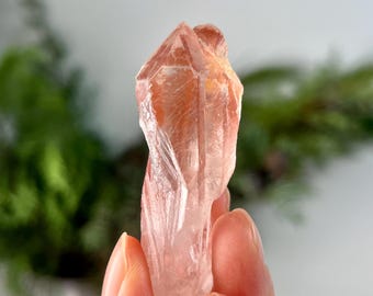 Punto del cratere dell'anima gemella in quarzo lemuriano rosa naturale di grado AA con guaritore dorato / da Bahia, Brasile / Attivato energeticamente - PLL39, 25 g