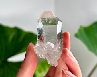 グレードAA 100%天然ダブルターミネーテッドレムリアン - 南セラ・ド