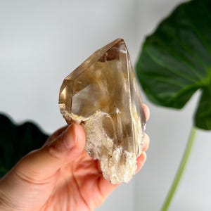 Grade AAA+ Natural Smoky Golden Amphibole Quartz, Angel Phantom Quartz - from Taquaraçu de Minas, Brazil AFC50, 126g