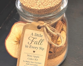 Mini Apple Cider Cocktail Kit | Fall Wedding Favor, Thanksgiving Spice Mix