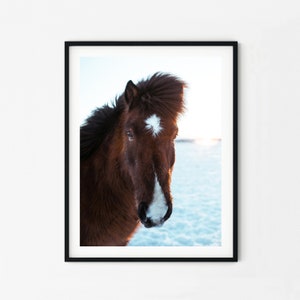 Icelandic Horse Print | Iceland Print | Horse Print | Iceland Wall Art | Iceland Art | Horse Wall Art | Horse Art | Horse Decor