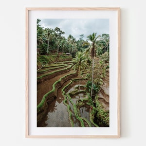 Bali Rice Terrace Print | Jungle Print |  Wall Art Boho Tropical | Indonesia Picture | Large Wall Art