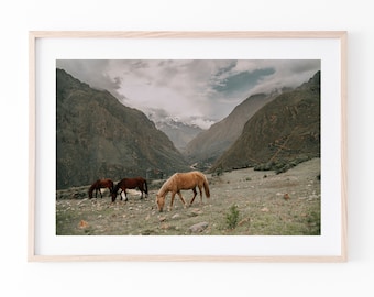 Horse Print | Wall Art Prints | Horse Photography | Horse Art | Horse Wall Art | Horse Decor | Horse Gifts