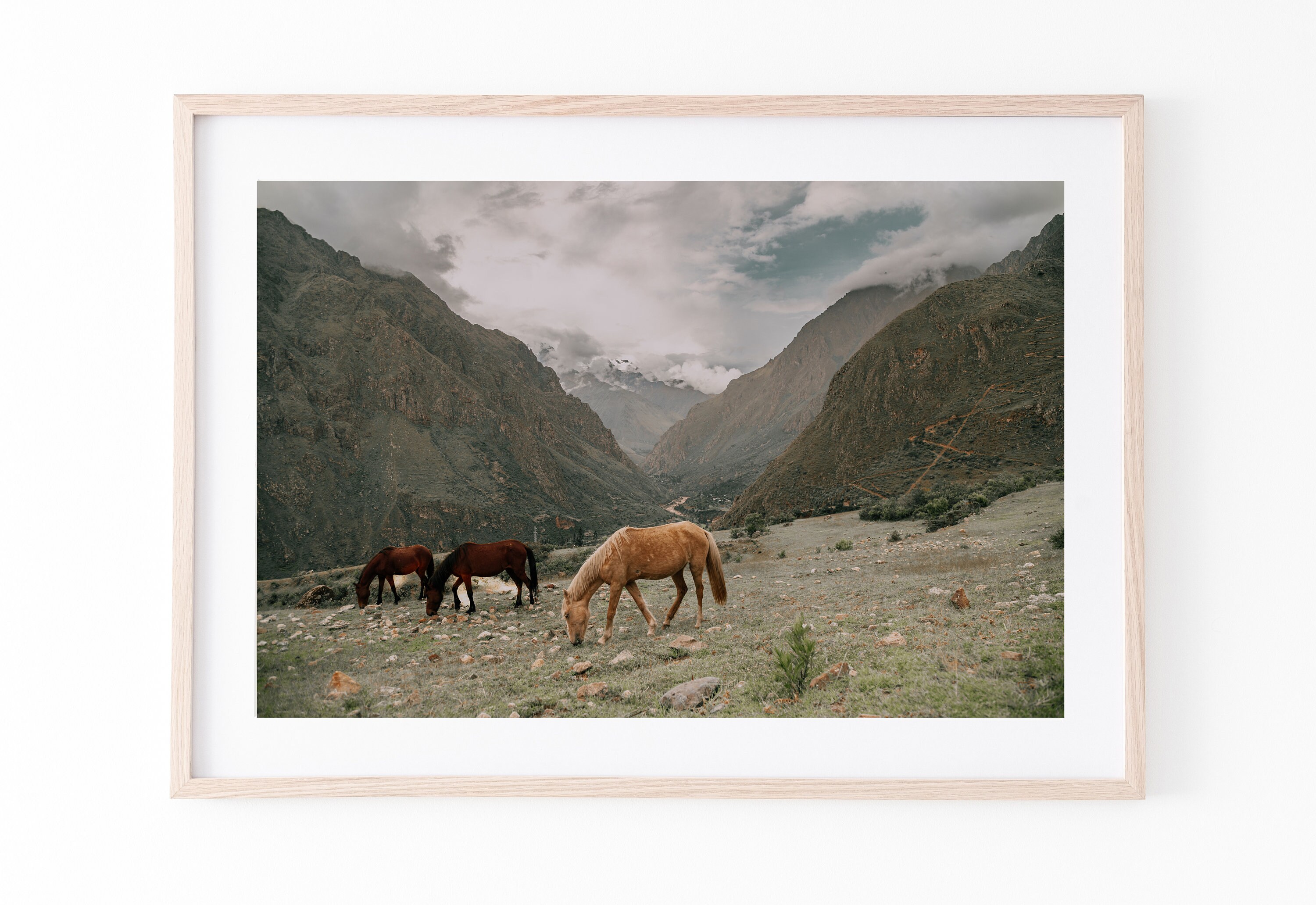 Horse Print Wall Art Prints Horse Photography Horse Art Etsy