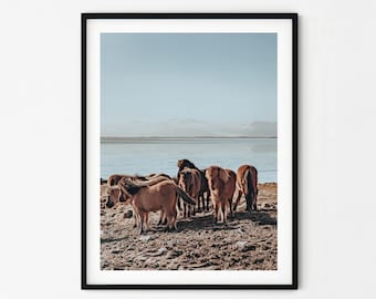Icelandic Horse Print | Iceland Print | Horse Print | Iceland Wall Art | Iceland Art | Horse Wall Art | Horse Art | Horse Decor