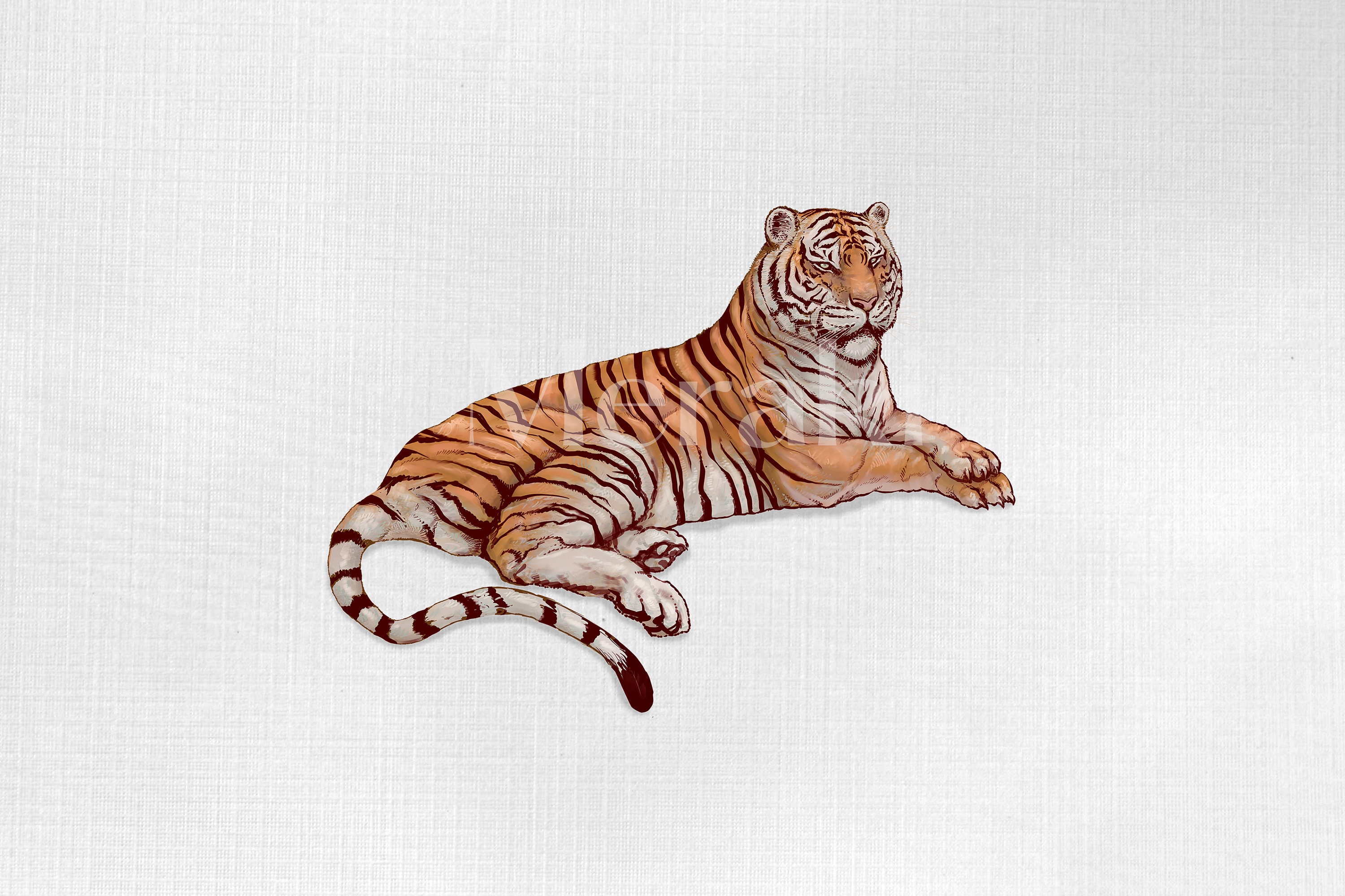 Vintage Tiger png, jpg Digital DOWNLOAD | Clipart Download | Vintage PNG \u0026  JPG Image for Printing, Invitations, Wall Art, Collages, etc, image size:3000x1999