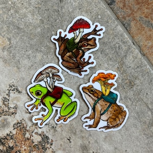 Frog Mushroom Forager Sticker Pack of 3, Weatherproof Matte Vinyl Stickers
