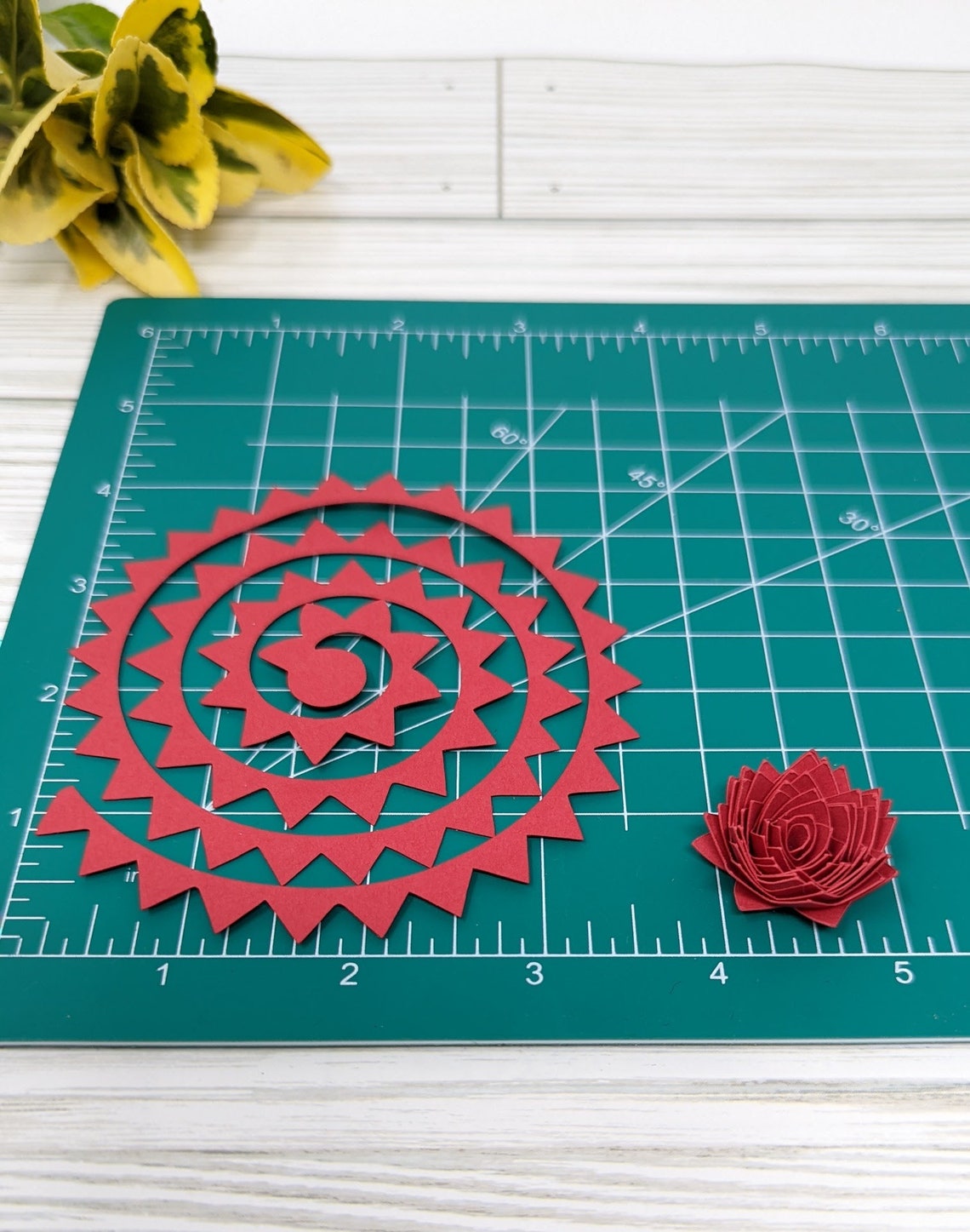 20 Pcs DIY Precut Paper Flower Unrolled Paper Flower DIY Paper Flowers