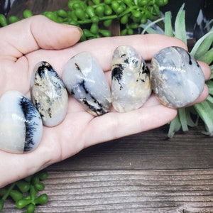 You Choose Small Dendritic Palm Stone