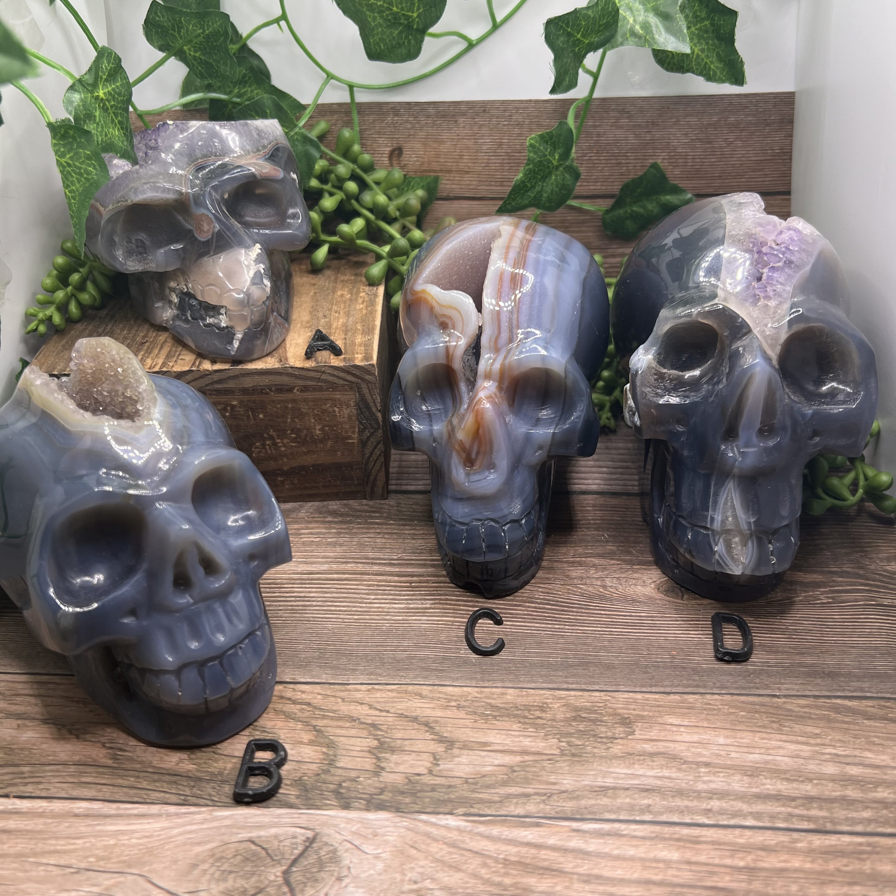 Druzy Agate Skull Druzy Agate Skull