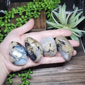 You Choose Medium Dendritic Palm Stone