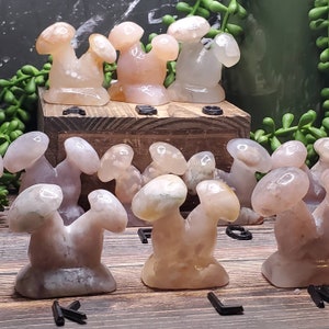 1 Flower Agate Double Mushroom - You Choose