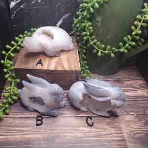 Druzy Agate Turtle or Rabbit Carvings
