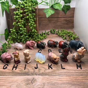 Esculturas de pequenos animais – você escolhe