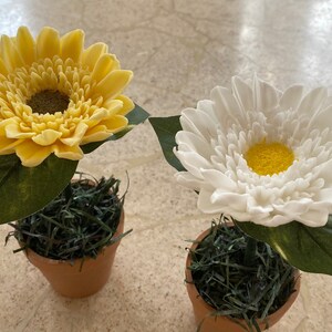 Luxury Soap Flower in Clay Pot (set of two)