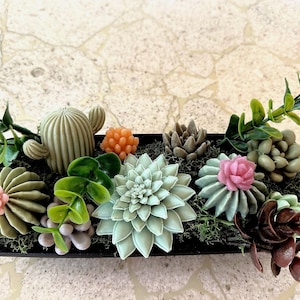 Luxury Soap Succulents Arrangement