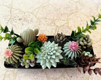 Luxury Soap Succulents Arrangement - Unique Spa Gift/Home Decor