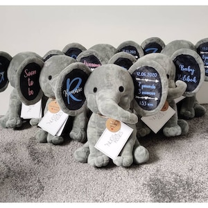 May include: A group of gray plush elephant toys with black ears. Each elephant has a personalized embroidered message on its ear. The messages include names, birth dates, weights, and times. The elephants are arranged in a row on a gray carpet.