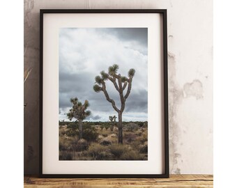 Joshua Tree, Desert Landscape, Wall Art,
