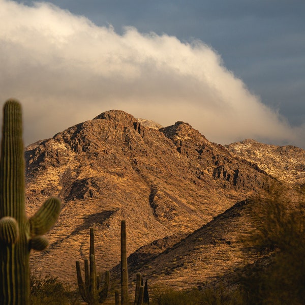 Mcdowell mountains