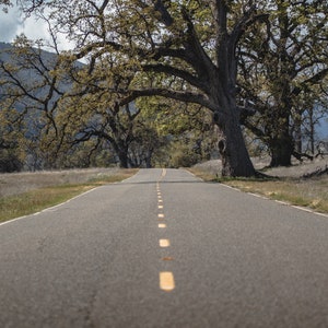 Road less traveled
