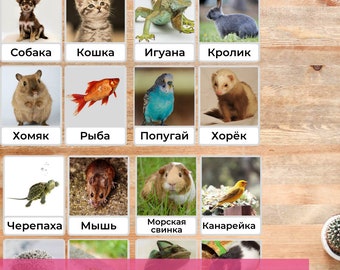 Russian Language Flashcards Pet Animals Montessori Teach Animals in Russian to Toddler Preschooler Printable Vocabulary Sorting Game PDF