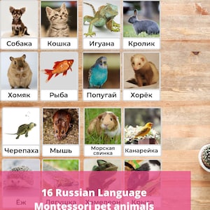 Russian Language Flashcards Pet Animals Montessori Teach Animals in Russian to Toddler Preschooler Printable Vocabulary Sorting Game PDF