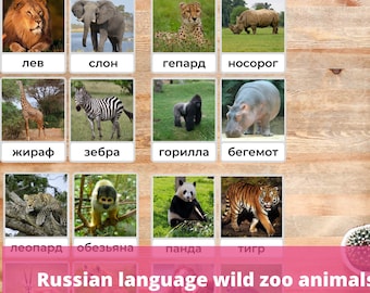 Russian Language Zoo Animals Flashcards for Kids Montessori Teach Wild Animals in Russian to Toddler Preschooler Colorful Real Photos PDF