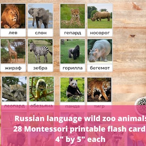 Russisch Sprache Zootiere für Kinder, Montessori Karteikarten, Teak Wildtiere auf Russisch für Kleinkind Vorschulalter, bunte echte Fotos PDF
