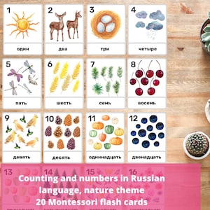 Números en idioma ruso que cuentan tarjetas didácticas de la naturaleza, tarjetas coloridas cirílicas Montessori, Enseña a los niños ruso Charlotte Mason PDF imprimible