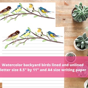 Backyard Birds Writing Paper Papeterie imprimable Ligné et vierge, A4 & Letter 4 Pages PDF, Journal Paper Craft, Letter or Notes Writing