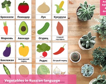 Russian Language Vegetable Food Flashcards Montessori Colorful Cards Printable PDF Game Words in Russian For Toddler Preschooler Flash Cards