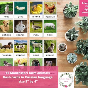Russisch Sprache auf dem Bauernhof für Kinder, echte Fotos Druckbare Montessori Lernkarten, Russisch PDF als PDF für Kleinkinder im Vorschulalter