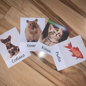 May include: Four flashcards with images of a dog, hamster, cat, and goldfish. Each card has a white background and a Russian word printed on it. The cards are arranged on a wooden surface.