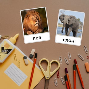 May include: Two flashcards with images of a lion and an elephant. The lion is brown with a golden mane. The elephant is gray with large ears. The words "лев" and "слон" are written below the images in Russian.