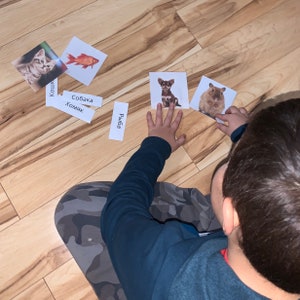 May include: Educational cards featuring animal images: a cat, goldfish, dog, and hamster. Each card has a corresponding word label in a foreign language. The cards are arranged on a wooden floor, with a child's hand interacting with them.