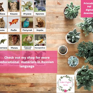 May include: Printable PDF flashcards featuring colorful illustrations of various animals in Russian. The animals include a dog, cat, iguana, rabbit, hamster, fish, parrot, ferret, turtle, mouse, guinea pig, canary, hedgehog, frog, chameleon, and rat. The text "Check out my shop for more educational materials in Russian language" is at the bottom of the image.