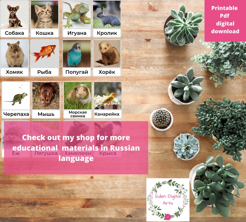 May include: Printable PDF flashcards featuring colorful illustrations of various animals in Russian. The animals include a dog, cat, iguana, rabbit, hamster, fish, parrot, ferret, turtle, mouse, guinea pig, canary, hedgehog, frog, chameleon, and rat. The text "Check out my shop for more educational materials in Russian language" is at the bottom of the image.