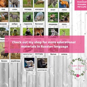 May include: A colorful educational chart featuring images of various animals, including a lion, elephant, cheetah, rhinoceros, raccoon, fox, giraffe, zebra, gorilla, hippopotamus, bear, moose, leopard, monkey, panda, tiger, wolf, rabbit, bison, camel, orangutan, kangaroo, squirrel, deer, polar bear, and chimpanzee. The chart is labeled with the Russian names for each animal.