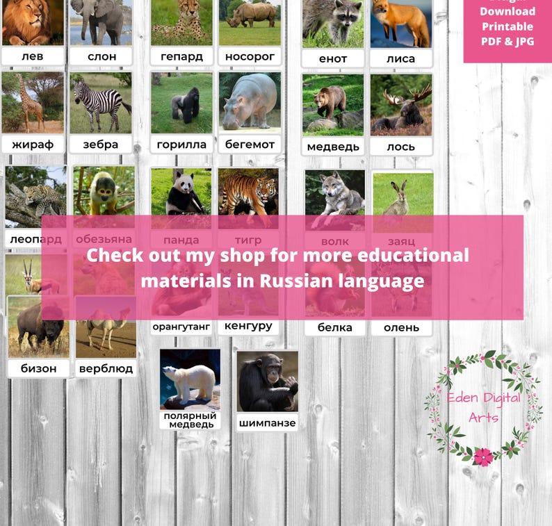May include: A colorful educational chart featuring images of various animals, including a lion, elephant, cheetah, rhinoceros, raccoon, fox, giraffe, zebra, gorilla, hippopotamus, bear, moose, leopard, monkey, panda, tiger, wolf, rabbit, bison, camel, orangutan, kangaroo, squirrel, deer, polar bear, and chimpanzee. The chart is labeled with the Russian names for each animal.