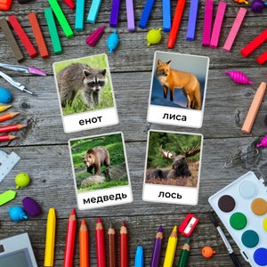 May include: Four colorful cards with images of animals and their names in Russian. The animals are a raccoon, a fox, a bear, and a moose.