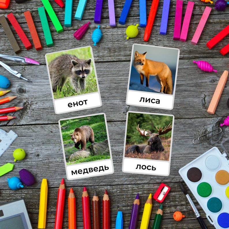 May include: Four colorful cards with images of animals and their names in Russian. The animals are a raccoon, a fox, a bear, and a moose.