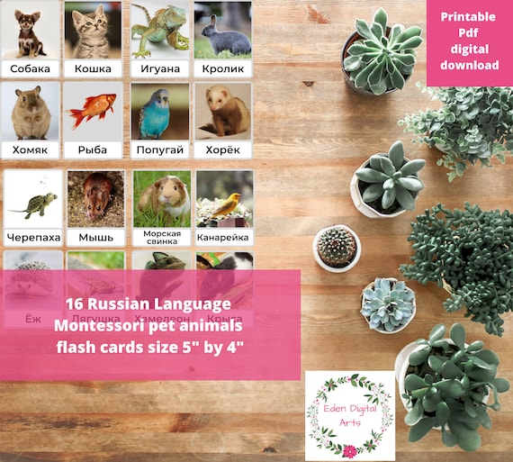 Russian Language Flashcards Pet Animals Montessori Teach Animals in Russian to Toddler Preschooler Printable Vocabulary Sorting Game PDF