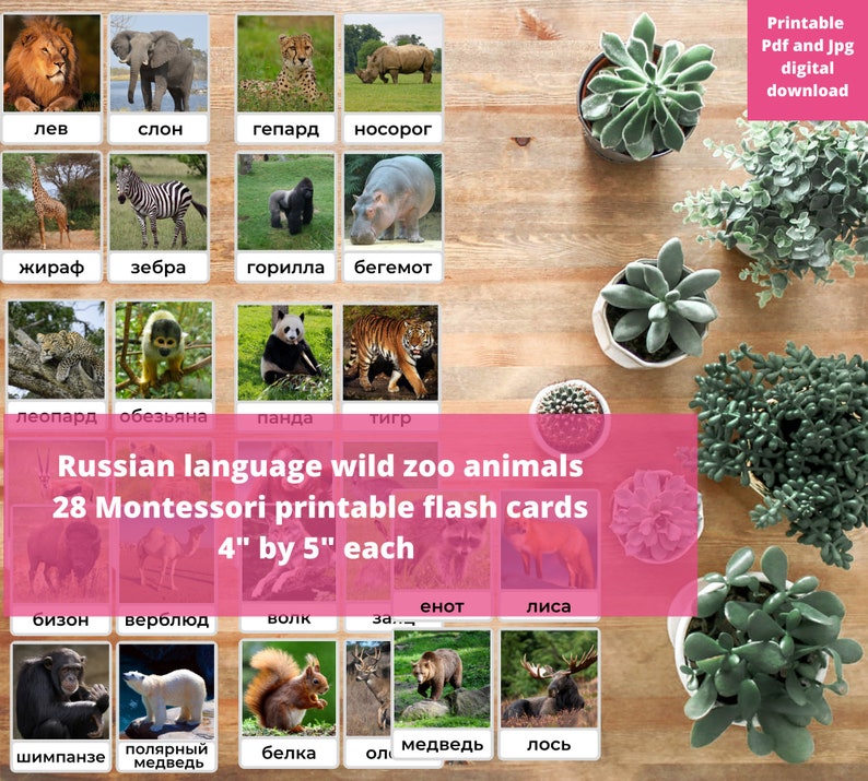 May include: A set of 28 printable flash cards featuring illustrations of wild zoo animals in Russian. The cards are 4 inches by 5 inches each and are designed for Montessori learning. The cards are displayed on a wooden table with potted succulents.